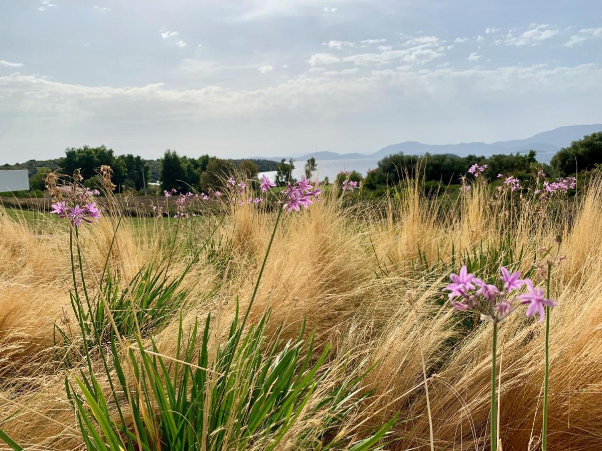 Varko Luxury Suites Paleros Dış mekan fotoğraf