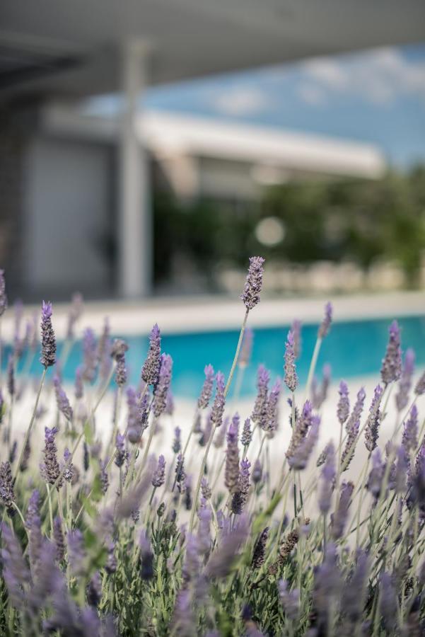 Varko Luxury Suites Paleros Dış mekan fotoğraf